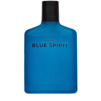 Парфумована вода для Чоловіків ZARA Blue Spirit 150ml