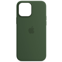 Чохол Silicone case (AAA) ful with Mag safe для Apple iPhone 13 (6.1") (Зелений / Clover)